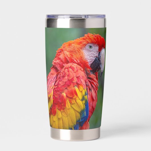 Scarlet Macaw Geïsoleerde Drinkbeker (Voorkant)