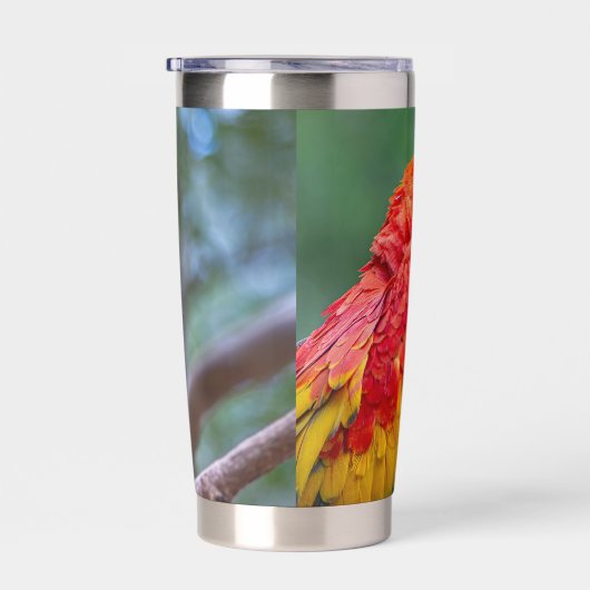 Scarlet Macaw Geïsoleerde Drinkbeker (Rechts)