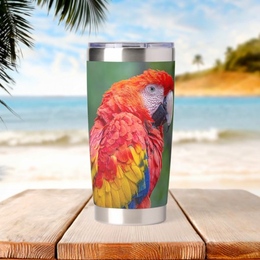 Scarlet Macaw Geïsoleerde Drinkbeker (Strand (Gedraaid)  )