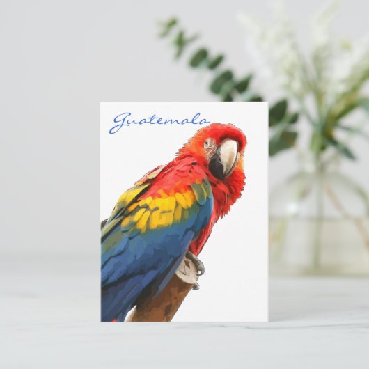 Scarlet Macaw Guatemala Briefkaart (Staand voorkant)