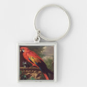 Scarlet Macaw in een landschap (olie op canvas) Sleutelhanger (Voorkant)