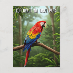 Scarlet Macaw in het Corcovado National Park Briefkaart