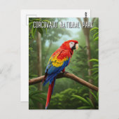 Scarlet Macaw in het Corcovado National Park Briefkaart (Voorkant / Achterkant)