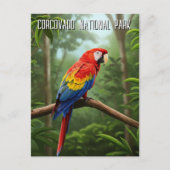 Scarlet Macaw in het Corcovado National Park Briefkaart (Voorkant)