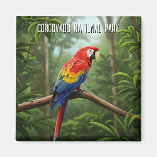Scarlet Macaw in het Corcovado National Park Magneet