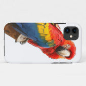 Scarlet Macaw iPhone 5 Hoesje (Achterkant (horizontaal))