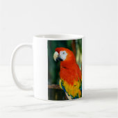 Scarlet Macaw Koffiemok (Links)
