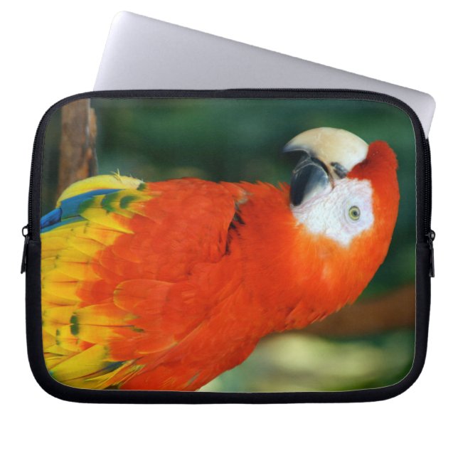 Scarlet Macaw Laptop Sleeve (Voorkant)