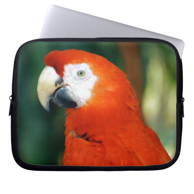 Scarlet Macaw Laptop Sleeve (Voorkant)
