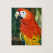 Scarlet Macaw Legpuzzel (Verticaal)