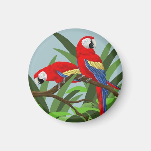 Scarlet Macaw Magneten (Voorkant)