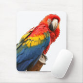 Scarlet Macaw Muismat (Met muis)