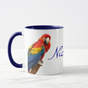 Scarlet Macaw Nicaragua Mok van keramiek