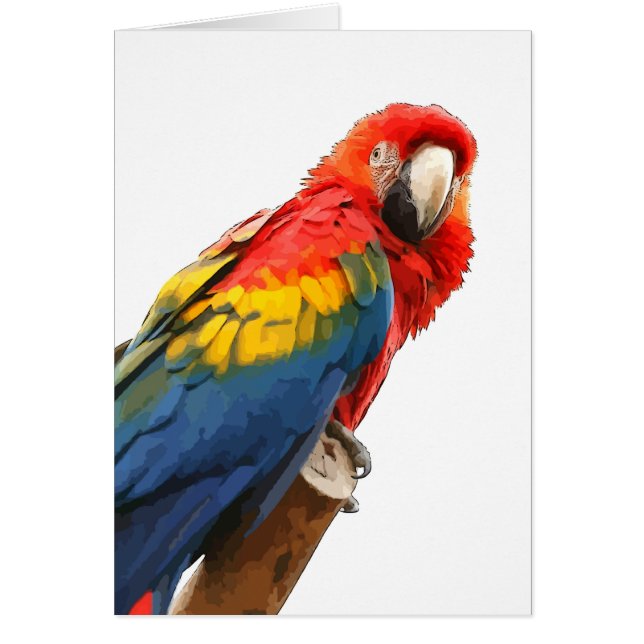 Scarlet Macaw Note Kaart (Voorkant)