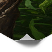 Scarlet Macaw Oil Painting Poster (Hoek)