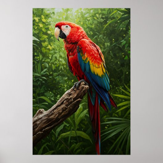 Scarlet Macaw Oil Painting Poster (Voorkant)
