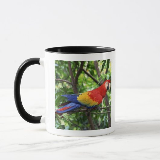 Scarlet macaw op boomledemaat mok (Links)
