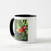 Scarlet macaw op boomledemaat mok (Voorkant links)
