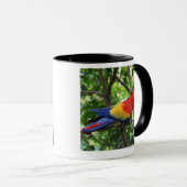 Scarlet macaw op boomledemaat mok (Voorkant rechts)