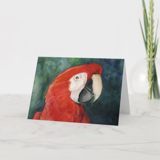 "Scarlet Macaw" Originele Art Notecard Kaart (Voorkant)