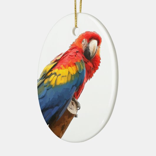Scarlet Macaw Oval Ornament (Links)