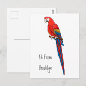 Scarlet macaw parrot cartoon illustratie briefkaart (Voorkant / Achterkant)