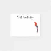 Scarlet macaw parrot cartoon illustratie post-it® notes (Voorkant)