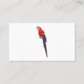 Scarlet macaw parrot cartoon illustratie visitekaartje (Achterkant)