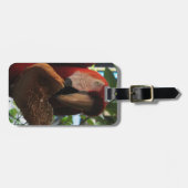 Scarlet Macaw Parrot Eating Toast Bagagelabel (Voorkant horizontaal)