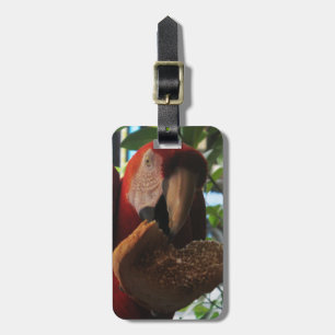 Scarlet Macaw Parrot Eating Toast Bagagelabel