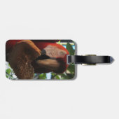 Scarlet Macaw Parrot Eating Toast Bagagelabel (Achterkant horizontaal)