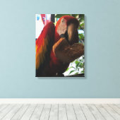 Scarlet Macaw Parrot Eating Toast Canvas Afdruk (Insitu (Houten vloer))