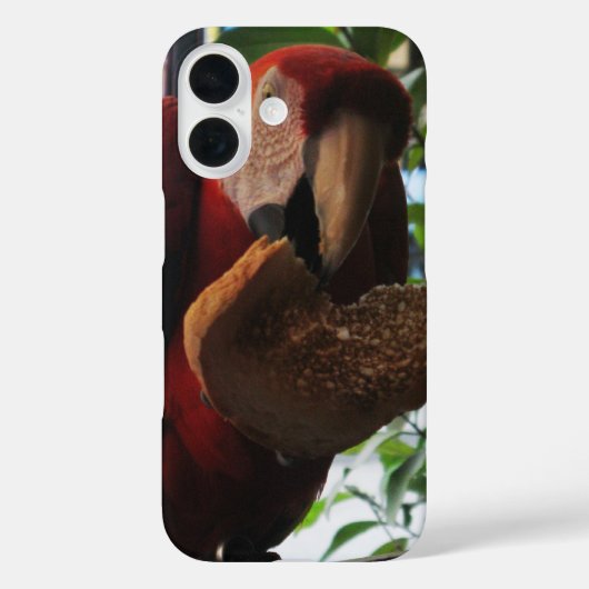 Scarlet Macaw Parrot Eating Toast Case-Mate iPhone Case (Achterkant)