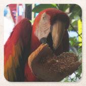 Scarlet Macaw Parrot Eating Toast Kartonnen Onderzetters (Voorkant)