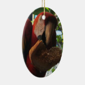 Scarlet Macaw Parrot Eating Toast Keramisch Ornament (Rechts)