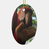 Scarlet Macaw Parrot Eating Toast Keramisch Ornament (Links)