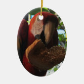 Scarlet Macaw Parrot Eating Toast Keramisch Ornament (Voorkant)