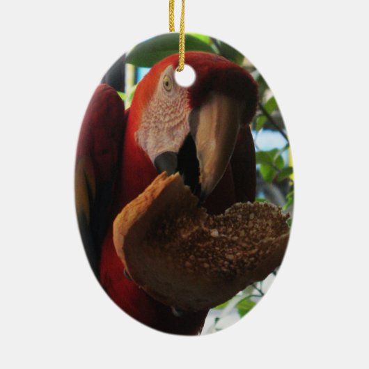 Scarlet Macaw Parrot Eating Toast Keramisch Ornament (Achterkant)