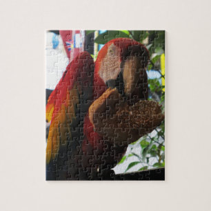 Scarlet Macaw Parrot Eating Toast Legpuzzel