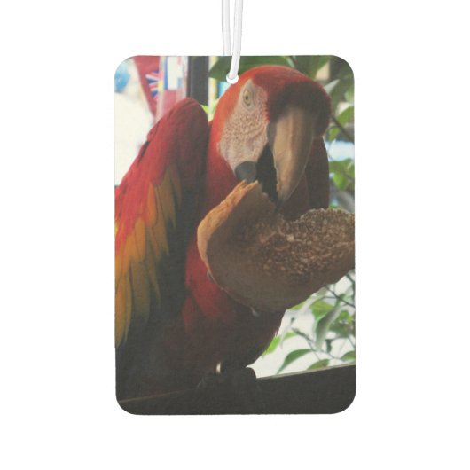 Scarlet Macaw Parrot Eating Toast Luchtverfrisser (Achterkant)