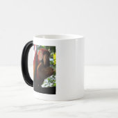 Scarlet Macaw Parrot Eating Toast Magische Mok (Voorkant links)