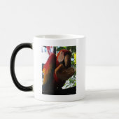 Scarlet Macaw Parrot Eating Toast Magische Mok (Links)