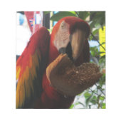 Scarlet Macaw Parrot Eating Toast Notitieblok (Voorkant)
