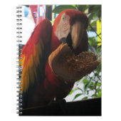 Scarlet Macaw Parrot Eating Toast Notitieboek (Voorkant)