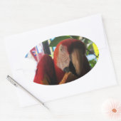 Scarlet Macaw Parrot Eating Toast Ovale Sticker (Envelop)