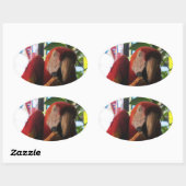 Scarlet Macaw Parrot Eating Toast Ovale Sticker (Vel)