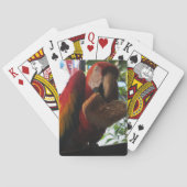 Scarlet Macaw Parrot Eating Toast Pokerkaarten (Achterkant)