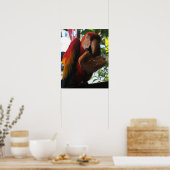 Scarlet Macaw Parrot Eating Toast Poster (Keuken)