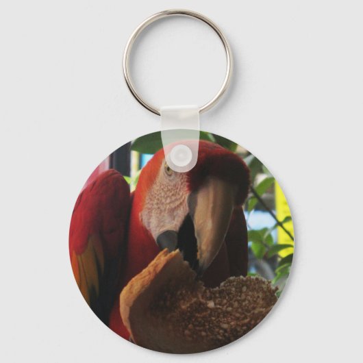 Scarlet Macaw Parrot Eating Toast Sleutelhanger (Voorkant)