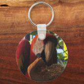 Scarlet Macaw Parrot Eating Toast Sleutelhanger (Voorkant)